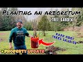 Making an Arboretum in my Backyard: Tree Garden for Wood, Fruit, Nuts, & More