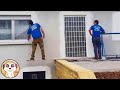 I LAVORATORI PIÙ STUPIDI AL MONDO !!