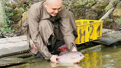 Cách Đọc Quy Y Khi Phóng Sanh | Ánh Sáng Trí Tuệ