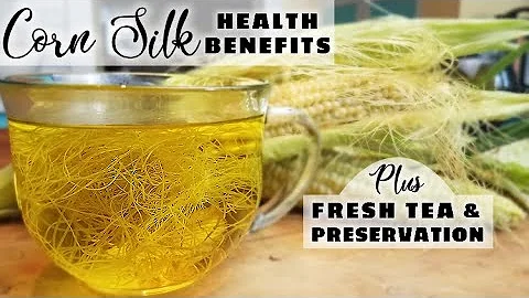 CORN SILK BENEFITS plus CORN SILK TEA &  Long Term Preservation - DayDayNews