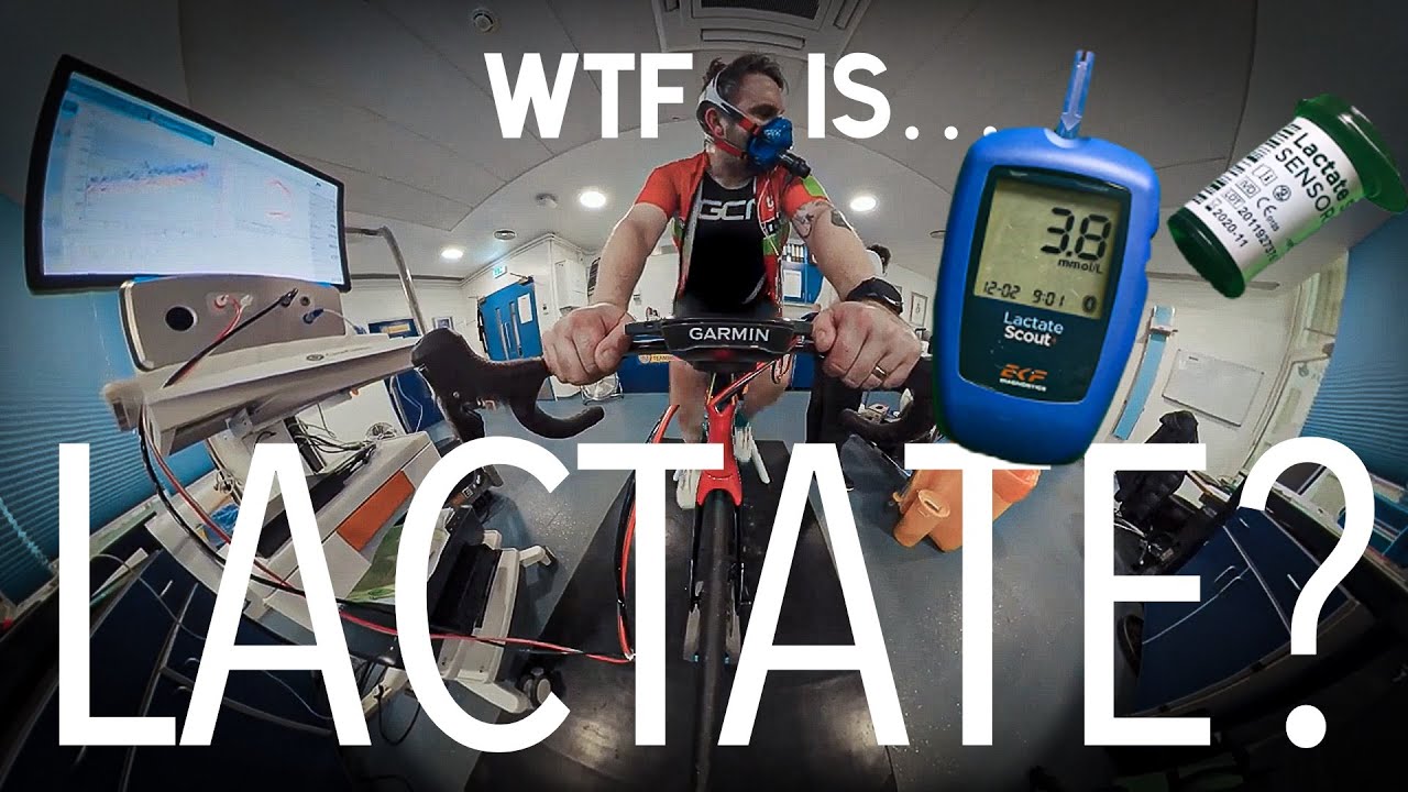 WTF IS LACTATE and why you NEED to know about it!! 
