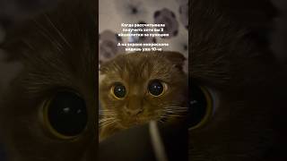✨ Успех стимуляции овуляции и пункции — это всегда командная работа! 💉