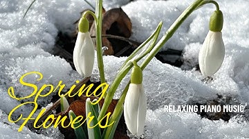 Relaxing Piano Music – Spring Flowers