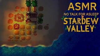 ASMR -​ Stardew​ Valley Ocean wave and campfire in the summer season (No talk for asleep)