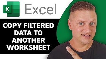 How to Copy Filtered Data to Another Worksheet in Excel | Excel Tutorial 2025