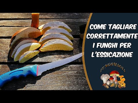 Video: Miti Biologici. Mito Numero 1. Funghi: Tagliare O Non Tagliare Questa è La Domanda? - Visualizzazione Alternativa