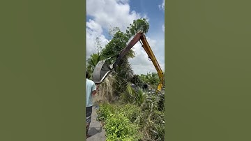 Xe cuốc mỏ vịt múc nước #shorts