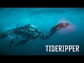 In Focus | Tideripper