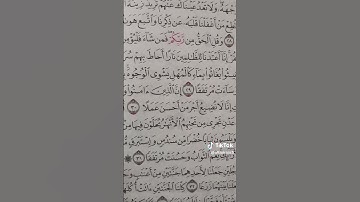 انضموا الينا في رحاب القران الكريم #الحمد_لله_على_نعمة_الأسلام #القران_الكريم #دويتو