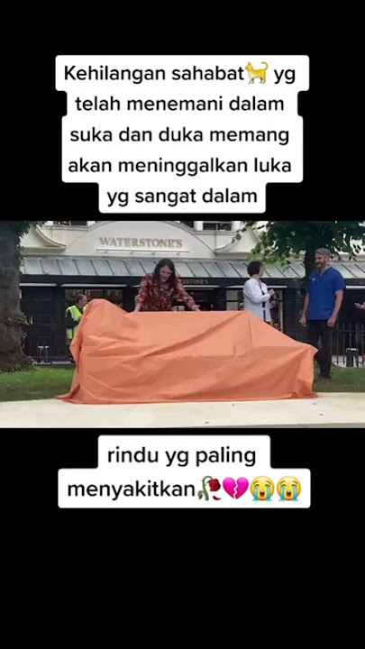 Mengenang bob si kucing jalanan yang berjasa