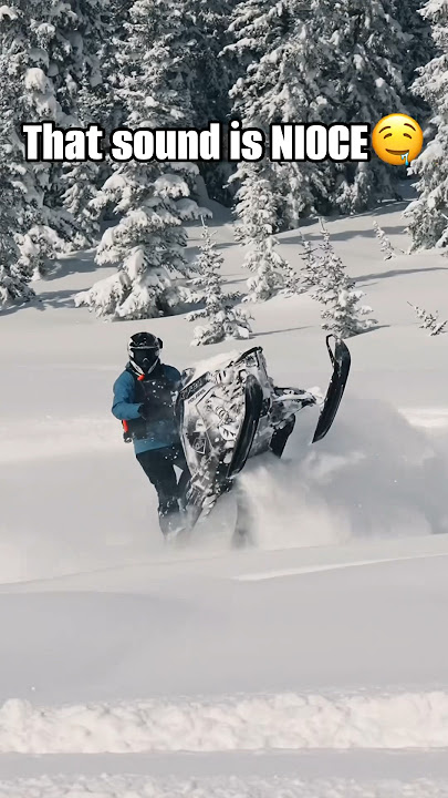 Music to the ears. πΆπ #viral #snow #winter #fun #mountains #fyp #shorts #yt #power #cool #summer