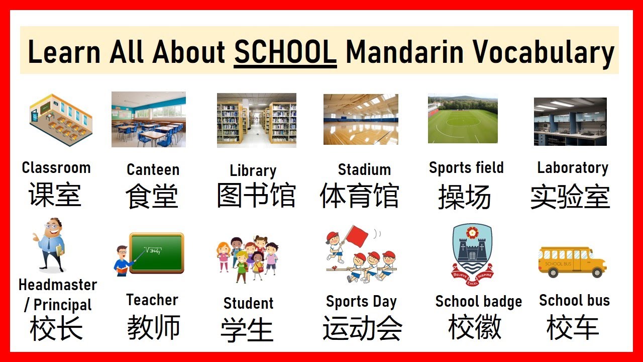Learn All About SCHOOL | Mandarin Vocabulary You Must Know #learnmandarin  #alicemice #learnchinese
