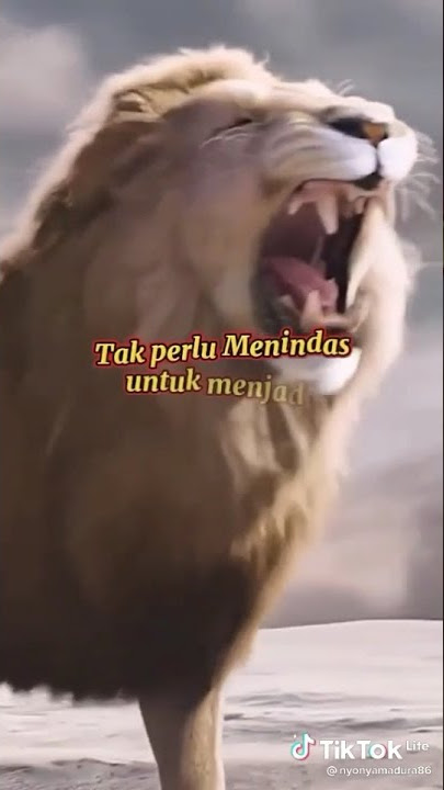 STORY WA KEREN||JANGAN JADI PECUNDANG