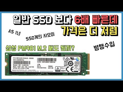 SSD계의 샤오미 삼성 PM981 써도 될까? NVME SSD 추천!