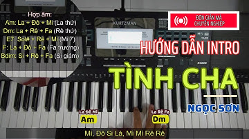 Hướng dẫn đàn dạo Tình Cha của Ngọc Sơn trên đàn Organ