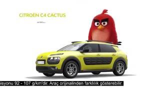 Citroën C4 Cactus Angry Birds Reklam Filmi Resimi