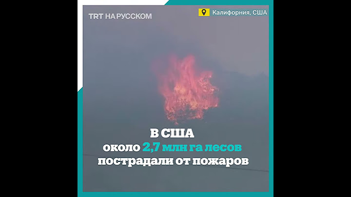 В Калифорнии не прекращаются лесные пожары. Погибло 29 человек