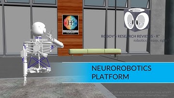 Neurorobotics Platform | R3 Roboy