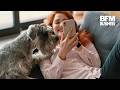 Diagnostiquer son chien depuis son téléphone sera désormais possible ! (Anthony Morel)