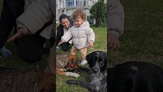 The baby's first wish after being discharged from the hospital was to hug the stray dogs. Dog Love