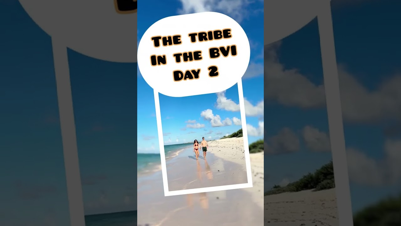 ⁣The Tribe in the BVI | Day 2 | Multihulls World