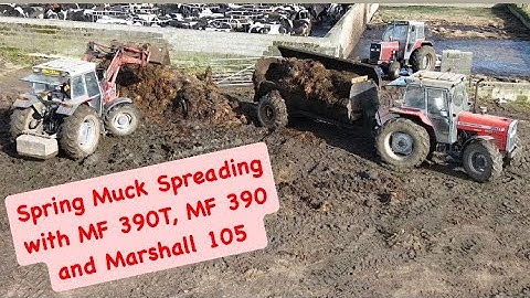 Spring Muck Spreading with MF 390, MF 390T and Marshall 105 Spreader - Massey Power!