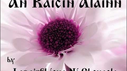 Lasairfhíona - An Raicín Álainn