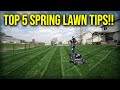 Top 5 spring lawn tips 2024