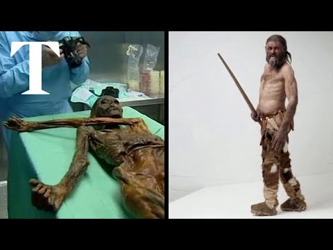 Alpine mummy Ötzi was dark skinned and balding, scientists conclude