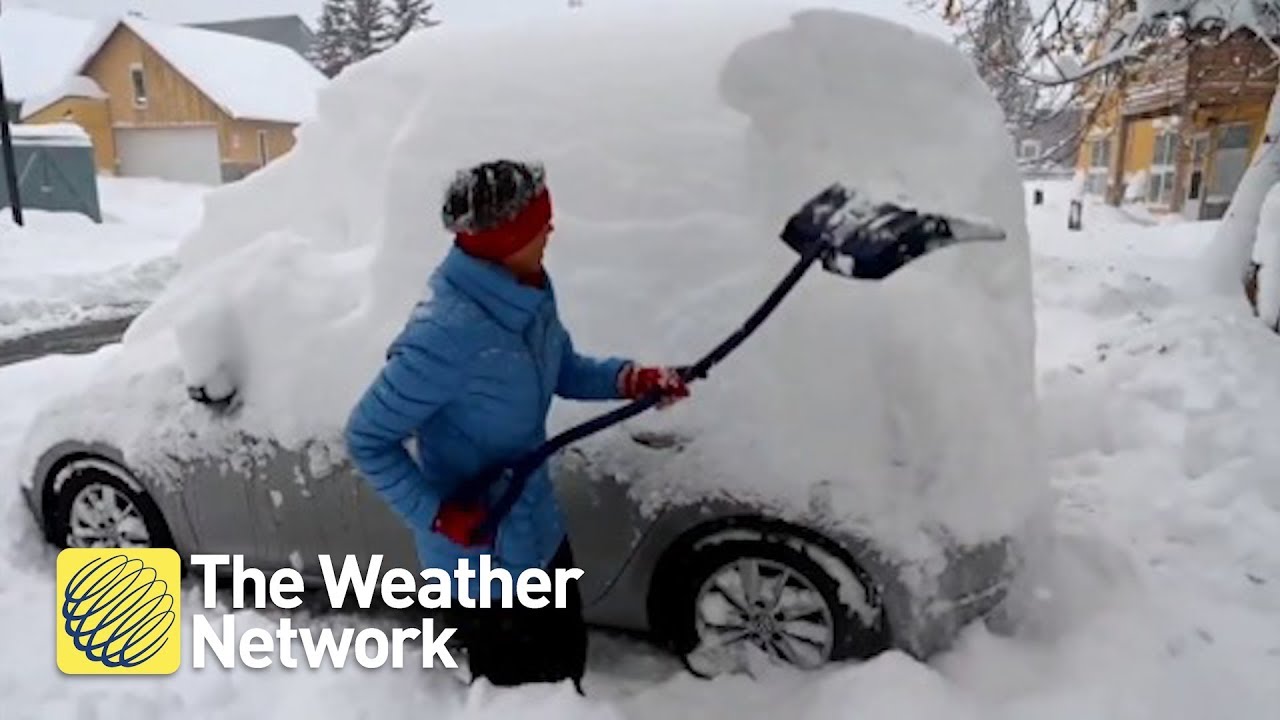 video phone beyonce mp3 Albertans let you know how they really feel during historic snow event