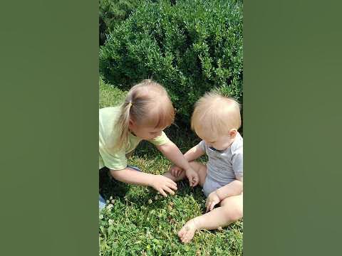 Дети сидят на лужайке) #семейныйканал #материнство #baby #влог #діти # ...