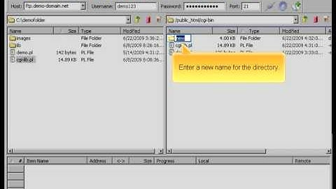 CuteFTP Managing files and directories By Host4Go Tutorials