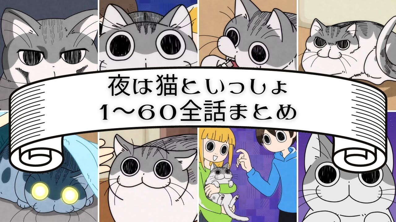 アニメ『夜は猫といっしょ』×CIAOちゅ～る【コラボCM公開!!】 - YouTube