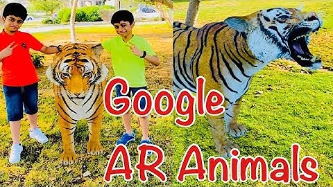 3D Animals|Google AR Animals|