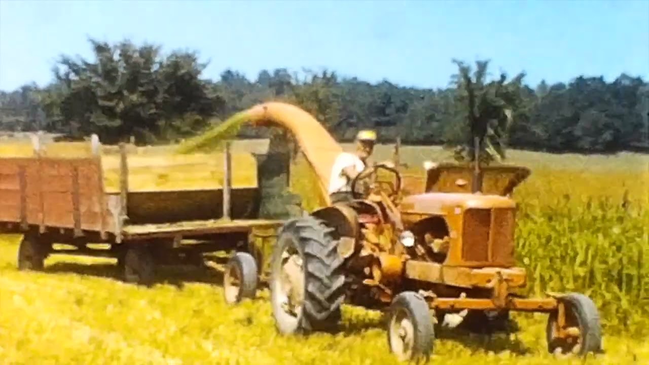 Making Sudan & Millet Silage | 1957