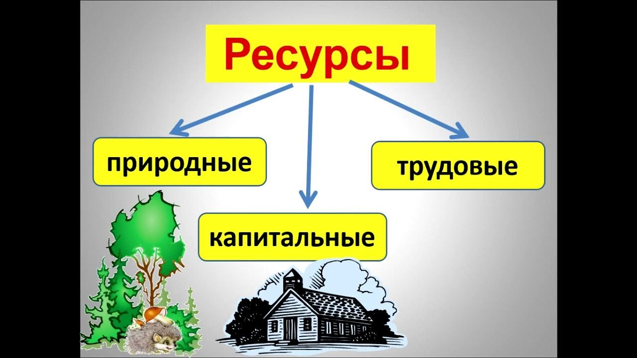 8 класс видеоуроки экономики