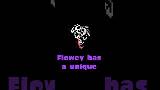 Did you know this about Flowey?