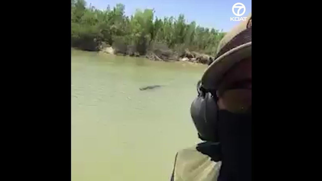 Are There Alligators In The Rio Grande?