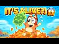 Bluey's Magic Turtle’s Secret | Bingo 2D Animation