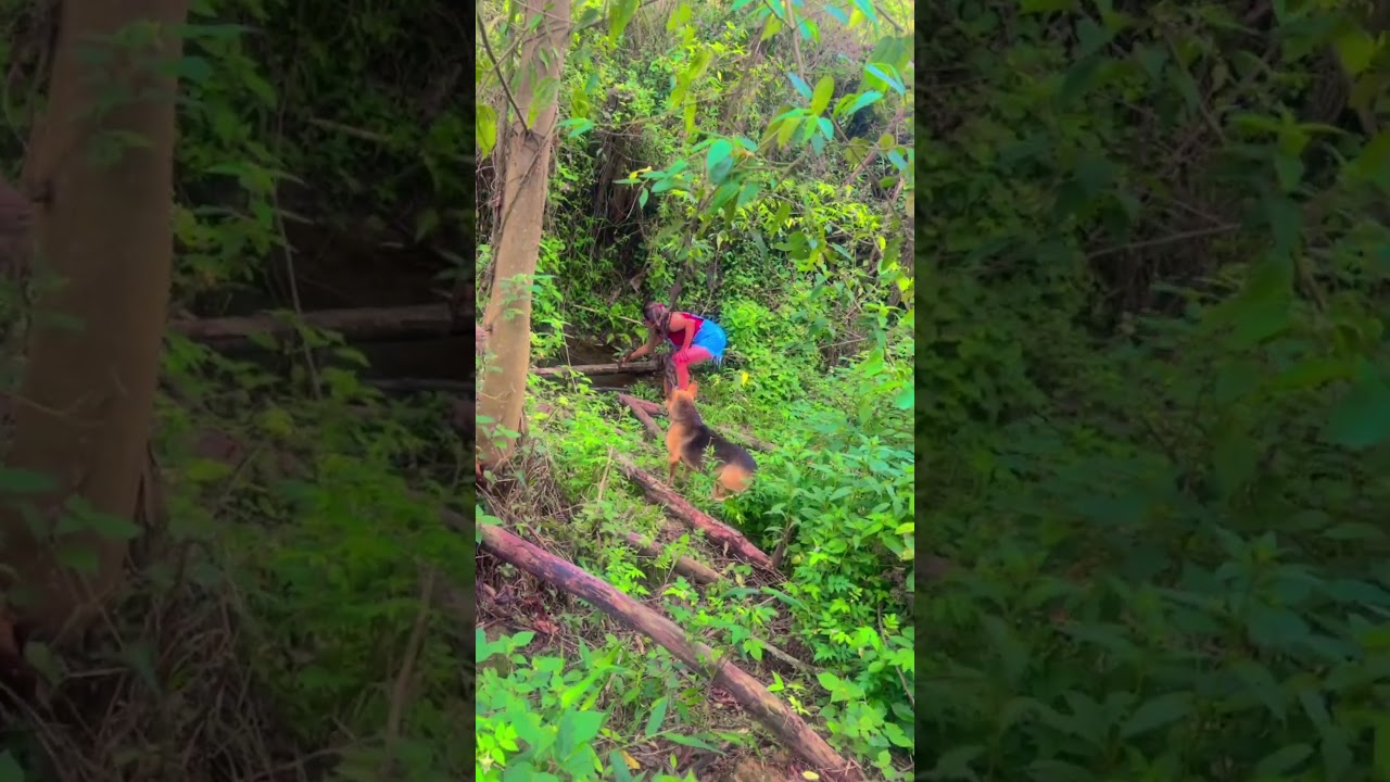 O PIOR ESTÁ PARA ACONTECER!! #shortsbeta #shortsvideo #shortsfeed #shorts #short