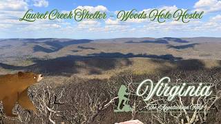 The Appalachian Trail | Virginia: Laurel Creek Shelter - Woods Hole Hostel