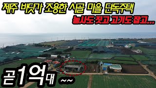 (경매) 제주 세컨하우스 단독주택 필요하다면 지금부터 눈여겨 보세요~아마 1억 초반으로...