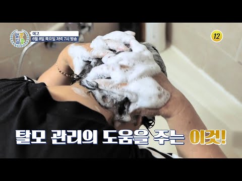탈모를 <strong>막는</strong> <strong>비밀</strong>! 건강 고수의 비법 대 공개!_알콩달콩 188회 예고 TV CHOSUN 230608 방송