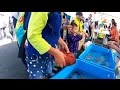 タッチプール　足摺海洋館 の動画、YouTube動画。