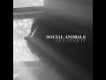 Social Animals - Get Over It (Audio)