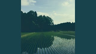YACHIMATA_160207