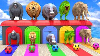 long slide game with cow elephant gorilla hippopotamus tiger 3d animal game funny 3d animals screenshot 4