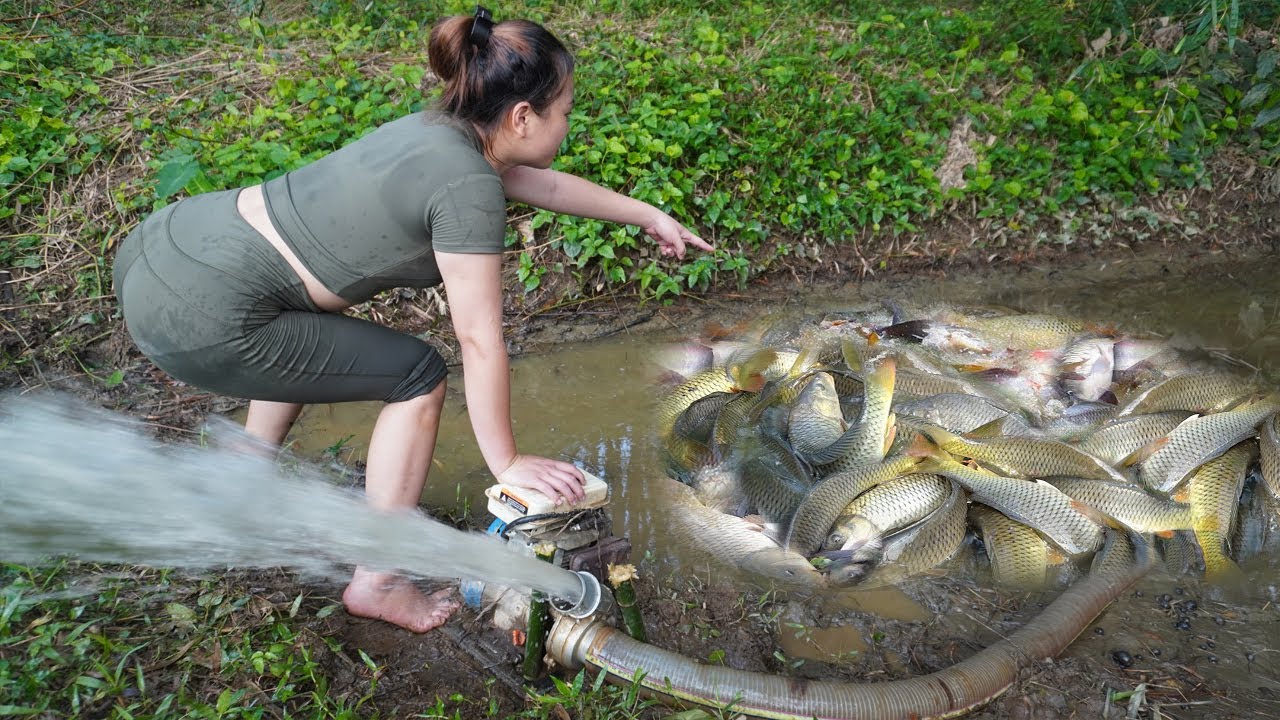 top videoThe village girl use water pumps to drain the water in the ...