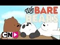 Вся правда о медведях | Дорога | Cartoon Network