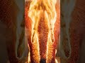 A Matchstick elephant 🐘 Burn ❤️🔥